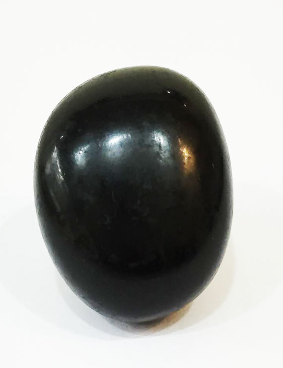 Black Shaligram For Vishnu Pooja